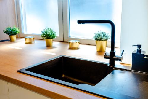 a kitchen sink with potted plants on a kitchen counter at Thome Exclusive Cuvee Turda in Turda