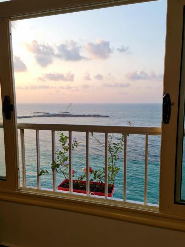 a window view of the ocean from a balcony at Nour 1 in Alexandria