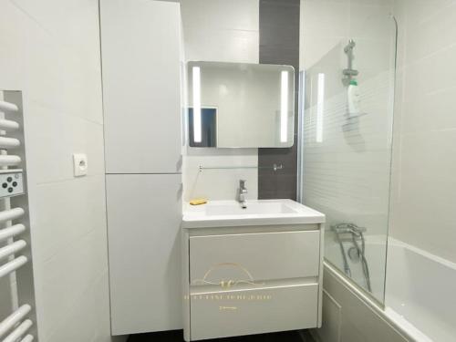 La salle de bains blanche est pourvue d'un lavabo et d'un miroir. dans l'établissement Le Grand Rambolitain, à Rambouillet