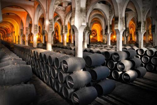a large room filled with wine barrels in a building at Loft Xera - parking privado in Jerez de la Frontera