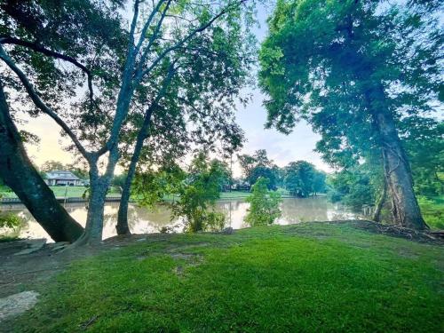 a view of a river with trees in a park at Unwind & Relax at Azalea Cottage on Bayou in Lafayette