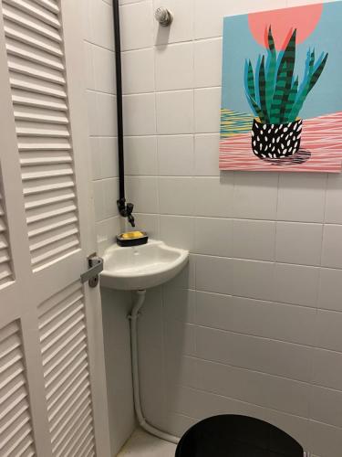 baño con lavabo y planta en la pared en Baixo Leblon com charme, lazer e home office, en Río de Janeiro