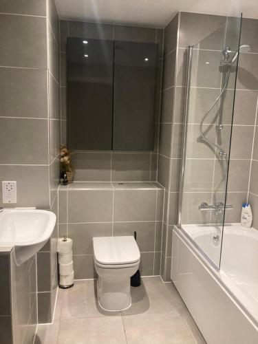 a bathroom with a toilet and a shower and a sink at Canal View 1 Bed Apartment in Zone 1 in London