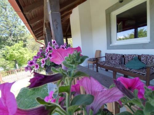 a porch with purple flowers and a couch at Dunavski konaci in Brestovik