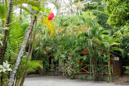 a house in the middle of a forest with palm trees at Kipara Tropical Rainforest Retreat in Airlie Beach