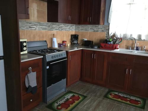 a kitchen with a stove and a sink at Abigail's Spectacular 2 bedrooms-Entire Apartment in Tortola Island
