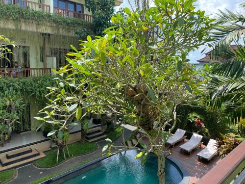 a pool with chairs and a tree in a courtyard at The Tunjung Ubud Retreat in Ubud