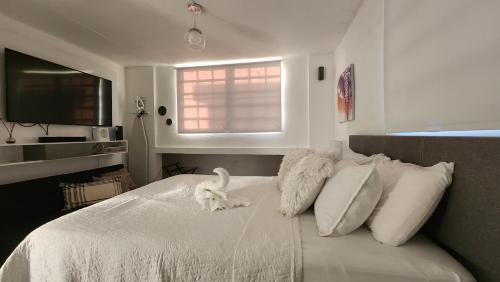 a bedroom with a white cat sitting on a bed at apartment villas de loiza in Canovanas