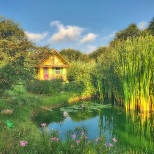 Příroda nedaleko bed and breakfast