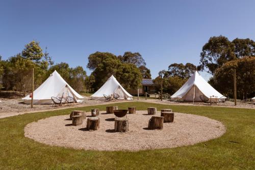a group of tents in a field with trees at Eight Acres Lakes Entrance in Lakes Entrance