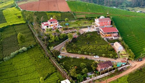 an aerial view of a farm in a tea plantation at Western Valley Resorts in Ooty