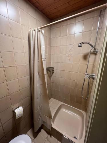 een badkamer met een douche, een wastafel en een toilet bij Einzimmerwohnung im Grünen/Innsbruck/2 PAX in Innsbruck