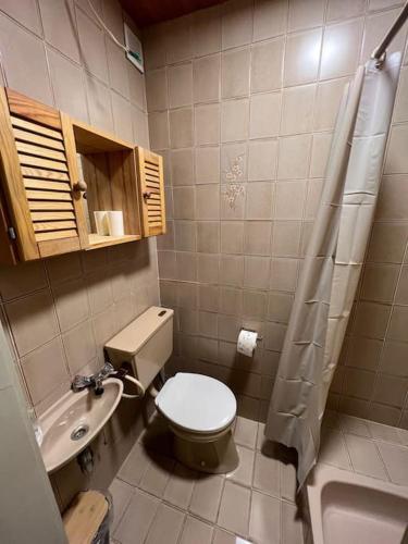 een kleine badkamer met een toilet en een wastafel bij Einzimmerwohnung im Grünen/Innsbruck/2 PAX in Innsbruck