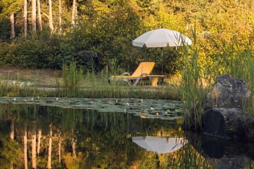 an umbrella and a chair sitting next to a pond at Casa Das Palmeiras-Pedagogic Farm in Mangualde
