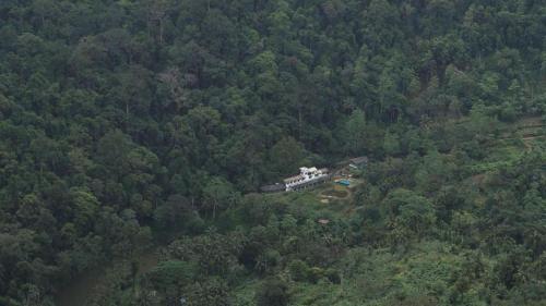 Vue aérienne d'une maison au milieu d'une forêt dans l'établissement Sinharaja Forest Edge, à Deniyaya
