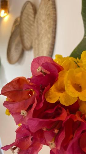 a group of red and yellow flowers in a vase at Oka Pousada Atins in Atins