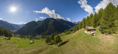 a green field with a house on a hill with mountains at Chalet indipendente Mas Tarlenta nel Parco Nazionale dello Stelvio in Peio
