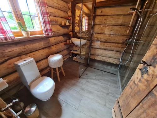 uma casa de banho com um WC, um lavatório e um chuveiro em Naturstammhaus-Blockhaus em Klagenfurt