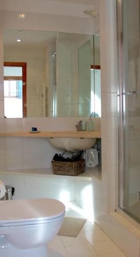 a bathroom with a toilet and a sink and a shower at Erbe Canal View Private House in Venice
