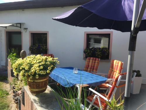 Αίθριο ή υπαίθριος χώρος στο Bungalow Arelt