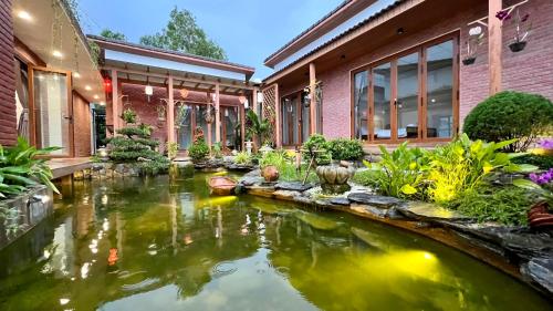 Vườn quanh Sakura Mura Homestay Phú Quốc