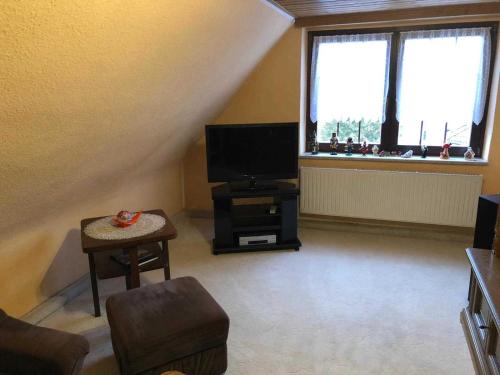a living room with a flat screen tv and two windows at Ferienwohnungen Familie Mickley in Behrenhoff