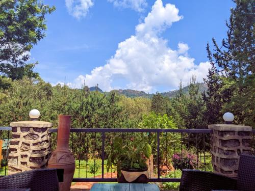 Cảnh núi rừng hoặc tầm nhìn ra núi từ khách sạn