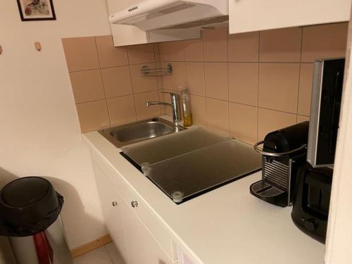 un comptoir de cuisine avec un évier et un micro-ondes dans l'établissement Studio montagne Demi Quartier, à Demi-Quartier