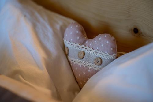a pink bow tie with a heart on it at Starkenfeldhütte in Rodengo