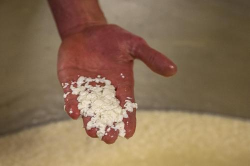 a hand holding a handful of white powder at Starkenfeldhütte in Rodengo