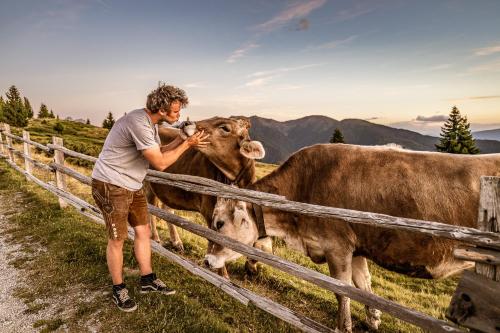 a man standing next to a fence petting a cow at Starkenfeldhütte in Rodengo