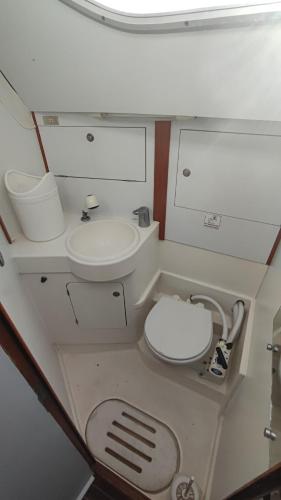 a small bathroom with a toilet and a sink at Námořní jachta Jeanneau Sun Odyssey 37.1 in Lipno nad Vltavou