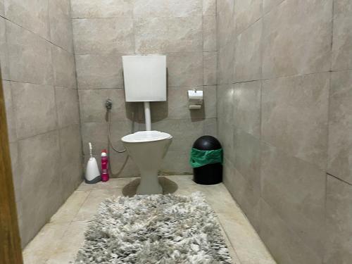 a bathroom with a toilet and a shag rug at Tamani - Your home away from home in Tamale