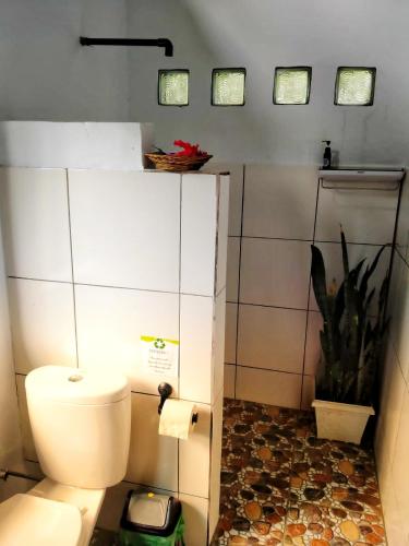 a bathroom with a toilet and a plant at Sumatra Orangutan Discovery Villa in Bukit Lawang