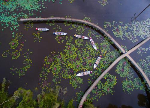 an overhead view of boats in a river at KDL Làng Nổi Tân Lập - Tan Lap Floating Village in Mộc Hóa