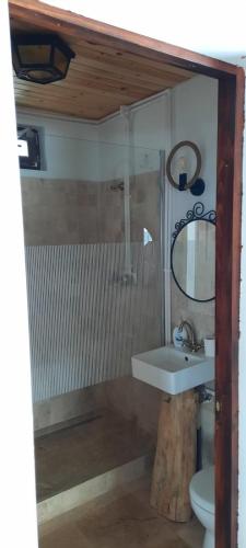 a bathroom with a sink and a shower and a toilet at Baladă de Rarău in Câmpulung Moldovenesc