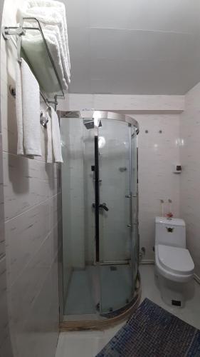 a bathroom with a glass shower and a toilet at Solim in Khorog