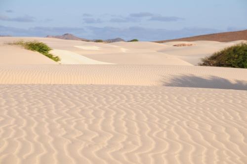 Un paisaje natural cerca del departamento