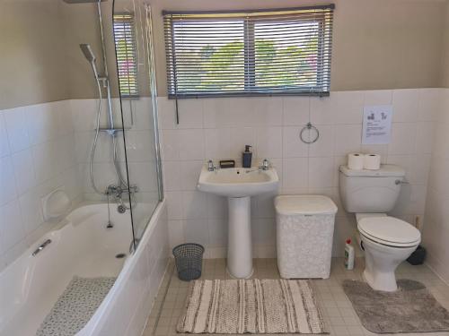 a bathroom with a sink and a toilet and a shower at Misty peaks Cloudlands in Bergview