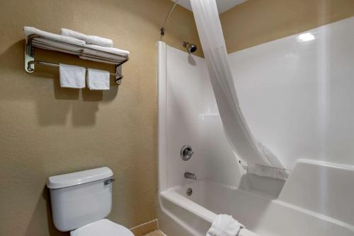 a bathroom with a white toilet and a shower at Quality Inn Phenix City Columbus in Phenix City