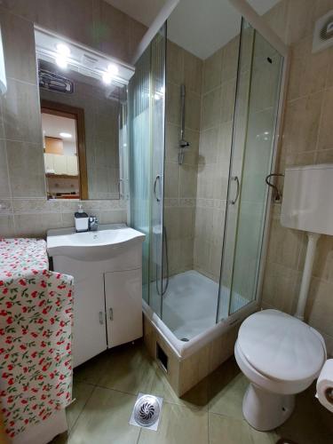 a bathroom with a shower and a toilet and a sink at Apartman Lena in Vrnjačka Banja