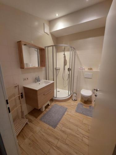 a bathroom with a shower and a sink and a toilet at Appartement Lengdorfer in Untertauern