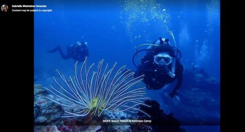 two people in the ocean looking at a lionfish at Mope Beach Resort in San Narciso