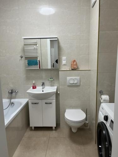 een witte badkamer met een wastafel en een toilet bij Apartament Garbary 234 in Poznań