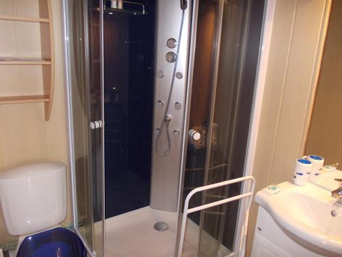 a bathroom with a shower and a toilet and a sink at VILLARD DE LANS in Villard-de-Lans