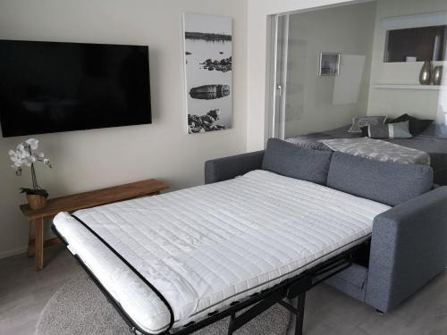 Ce lit se trouve dans un dortoir doté d'un canapé et d'une télévision. dans l'établissement Aurinkoranta D6, à Kalajoki