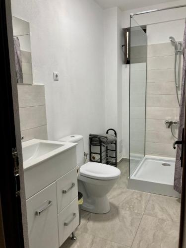 a bathroom with a toilet and a sink and a shower at Apartament Luca in Drobeta-Turnu Severin