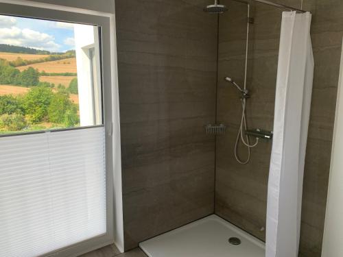 a bathroom with a shower with a window at Eifel24, neues und barrierefreies Appartement mit Terrasse in Schwirzheim