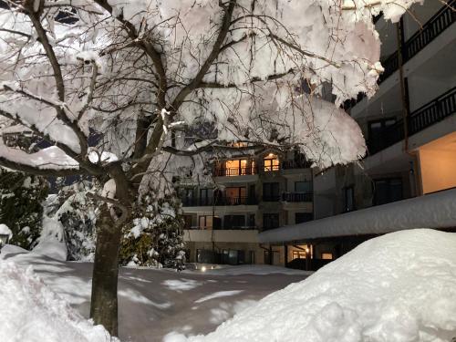 a snow covered tree in front of a building at Parklands Hotel & Pool in Bansko