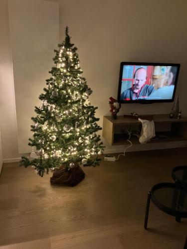 a christmas tree in a living room with a television at Charmant appartement met frontaal zeezicht in Middelkerke